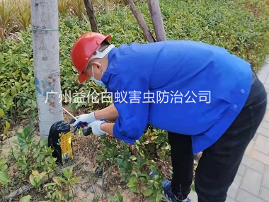 越秀區(qū)公園滅治白蟻工程