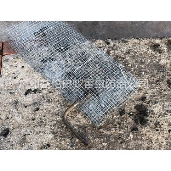 蘿崗區(qū)上門(mén)抓蛇工程