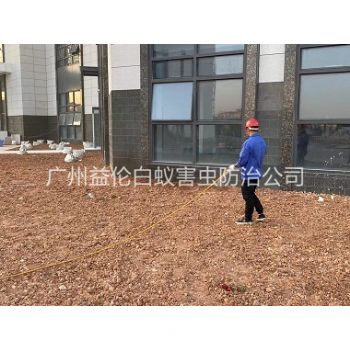 芳村房屋白蟻預防