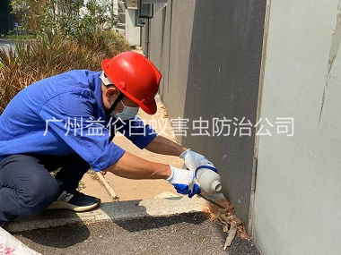 花都紅火蟻防治工程