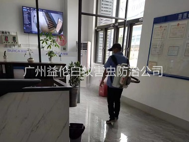 從化室內消殺蚊蟲工程