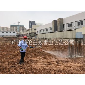 芳村基礎(chǔ)白蟻預(yù)防工程