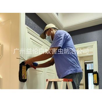 天河區(qū)住宅白蟻防治工程