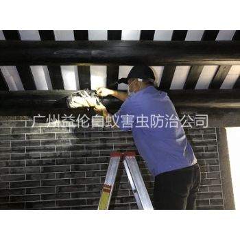 廣州祠堂殺滅白蟻工程