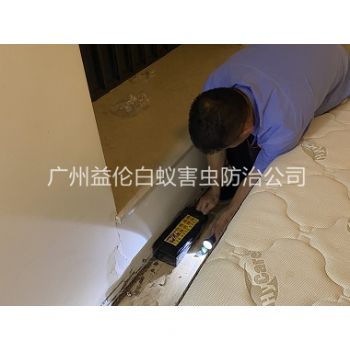 芳村家居白蟻滅治工程