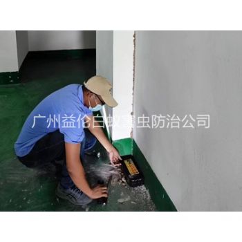 越秀電機(jī)房滅殺白蟻工程